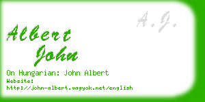 albert john business card